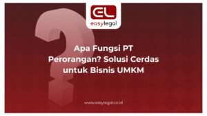 apa fungsi pt perorangan
